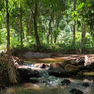 Tupa Lodge Selva y Rio - 3