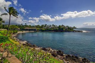 Napili Point A8 · NP A8 OceanFront 1BD Condo w Ocean Views AC Po - 7