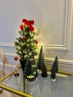 L Amiens Haussmann-Gare-Hortillonnages-Centre-ville-WIFI - Amiens - 9