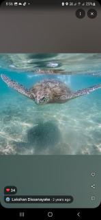 Royal Villa Polhena - 3