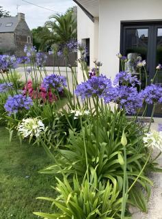 Chambres D'hôtes Les Goélands - 8