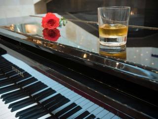 Hotel Mercure Alger Aéroport - 9