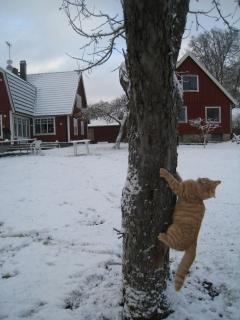 Kråkeskogsgården, nature in town - 4