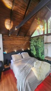 Linda Cabana com Vista Incrível nas Montanhas com Trilha, Cachoeira e Alexa - 5