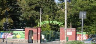 Apartament 4 Regie Orhideea - 7