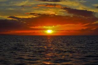 International Colony Club 20 · ICC 20 Remodeled 2BD Hawaiian Co - 4