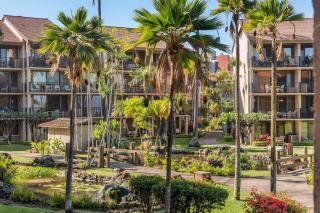 Papakea B201 · PK B201 Updated Condo w Ocean View - 7