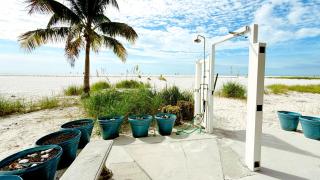 Pelican Watch #105 - 9