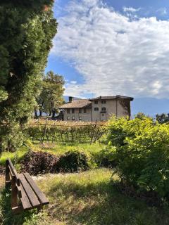 Maso Sasso - La Locanda di Putipù - 9