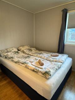 Panoramic Mountain and River Views in the Heart of Voss -  - 6