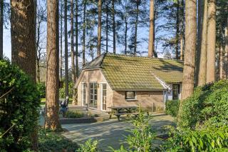 Rustig Boshuis Lunteren, Veluwe, Tuin en Haard - 0