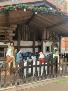 Apartament ultracentral in inima Targului de Craciun - 9