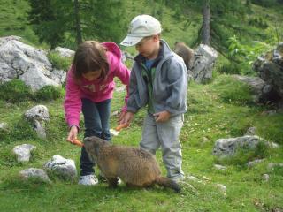 Premium Wanderhotel Steirerhof - 2