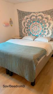 Unique pink apartment in the middle of Voss - 8