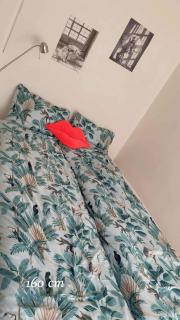 Unique pink apartment in the middle of Voss - 3