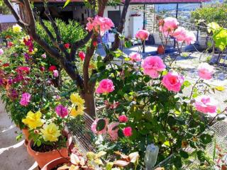 4 Seasons Suites Paradise Athens Airport 2 - 2