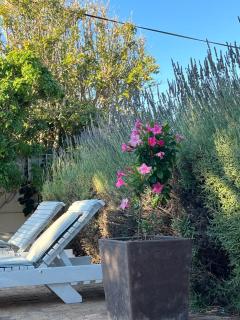 Lighthouse Beach cottage - 7