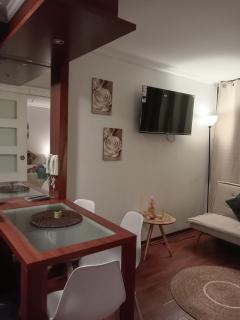 Departamento Ejecutivo Santiago centro - 3