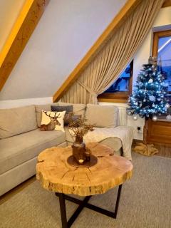 Apart-Center Zakopiańskie Tarasy SPA - 8