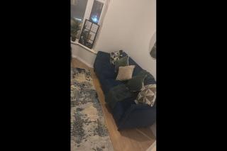 23 Ash road - 0