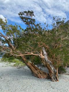 Hotel Río Puelo - 6