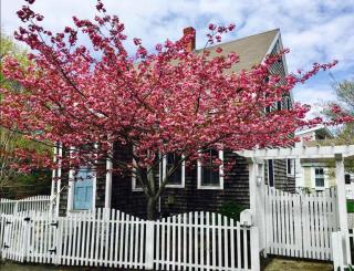 5 Min Walk to Town Patio Yard & A C - 4