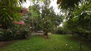 Rainbow Homestay Wayanad - 6
