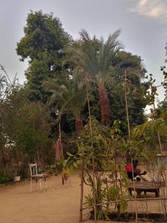 Miral Nubian House - 7