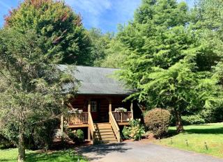 Baird's Creek Cabin - 9