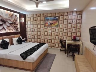 Hotel The Indian Caste Near IGI Delhi - 5