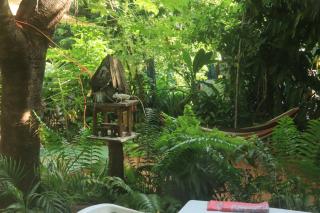 Jungle Palace hostel santaella - 6