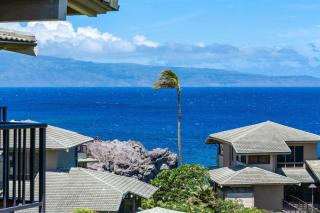 Kapalua Bay Villas 32B4 · KBV 32B4 Oceanfront Kapalua Spectacula - 5