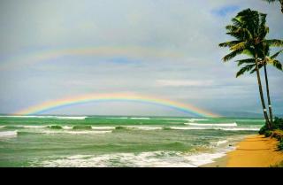 Kahana Village 17 · KHV 17 Spacious 2BD Condo w Oceanviews and S - 6