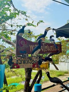 PhaluaiHomestay พะลวยโฮมสเตย์ บ้านไม้ - 7