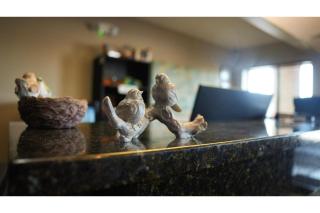 Sierra Inn Capital O ft Huachuca - 6