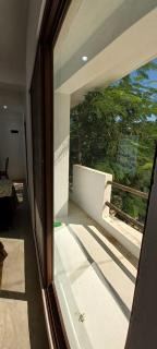 Hermoso estudio almendro - 1