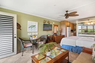 Napili Bay 210 · NB 210 Napili Bay Studio with Direct Ocean View - 7