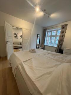 2-BR apartment in one of Århus best locations - 420 - 4