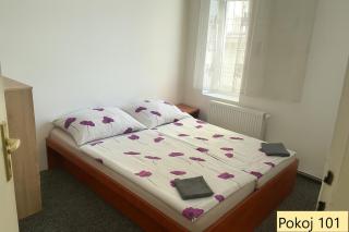 StayInn v centru Ostravy - Slezská Ostrava - 8