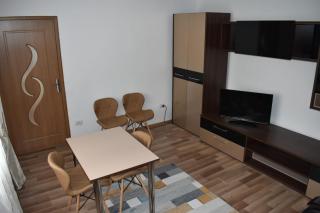 Sibiu Travel Apartment - 1