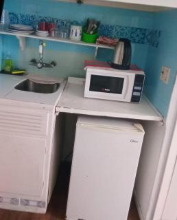 Mono gorlero - Punta del Este - 1