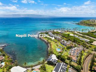 Napili Point C22 · NP C22 Oceanfront Views from 2BD West Maui Co - 6