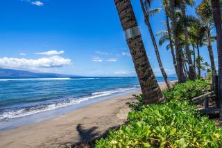 Lahaina Shores 215 · LS 215 Direct Beachfront Views Remodeled St - 7