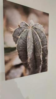 Appartement MVM Jacuzzi proche Saint-Malo - 5