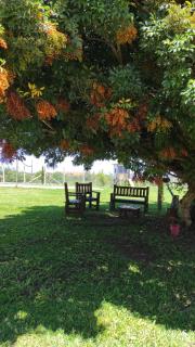 Sítio Cachoeira de Minas - 4