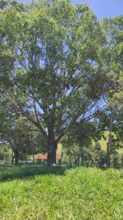 Sítio Cachoeira de Minas - 2