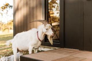 Rainbow Retreat X by Tiny Away - 9