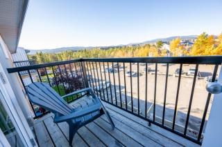 Bearberry Premium Rentals - 5