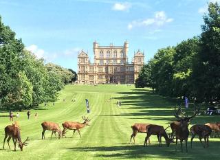 2-Bed Flat, Free Parking, Free Wi-Fi, Sleeps 4, NG7 - 8