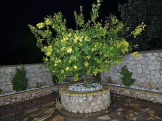 Villa Aurelia Privat Pool - 8